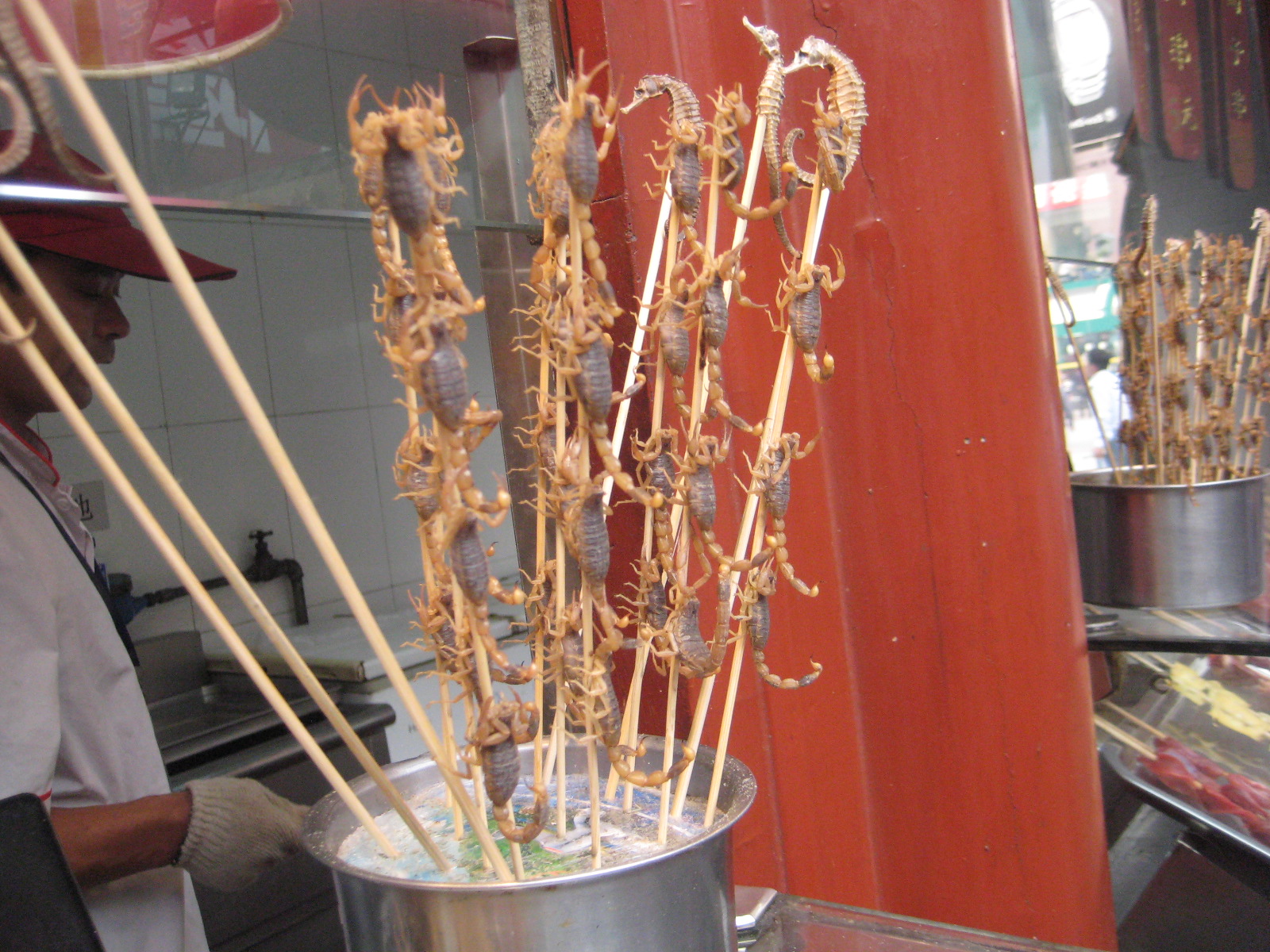 Live_Scorpions_For_Sale_in_Beijing.JPG